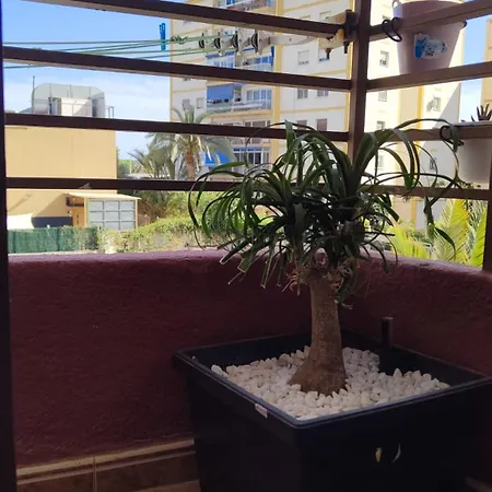 Apartment Piso San Juan De Alicante *